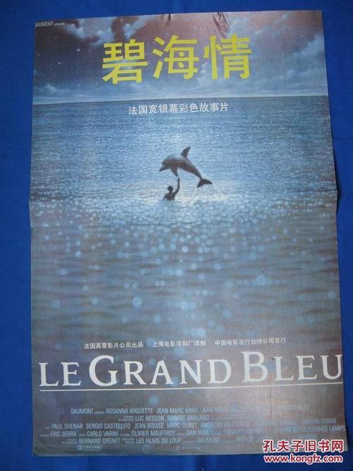 海牙国际法学院学士学位证